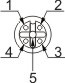 M123R - □/M123RL - □ 母頭腳位